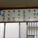 유림향 이미지