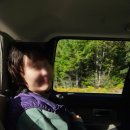 The Ice Road | 캐나다 휘슬러 조프리 레이크 하이킹 후기｜초보자도 가능할까? 직접 다녀온 조프리 레이크 하이킹 솔직...