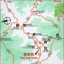 1234피시 Daum카페