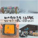 [하이원리조트 스노우월드] 평일 예약 할인 방법, 월요일 이용 후기, 래프팅&가족썰매 솔직 이용 후기