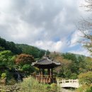 힐링하기 좋았던 가평 아침고요수목원 🌳 내돈내산 솔직후기