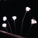 남면사무소 이미지