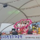금갈매기