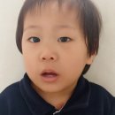 슬기샘어린이집 이미지