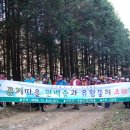 편백나무숲민박 이미지