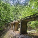 범어사역에서 부산외대, 온천장 개화 이미지