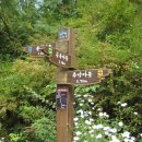 축령산 백련동(추암) 이미지