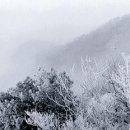 모현제일고층아파트 이미지