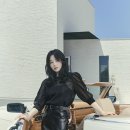 부르네 이미지