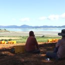 주현3농장 이미지