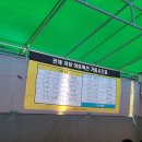 어린왕자의나무별 이미지
