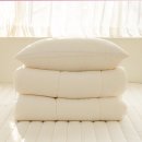 더모먼트 이미지