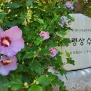 입장료·주차 무료인 여름 힐링 명소 이미지