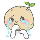 버블세탁 이미지