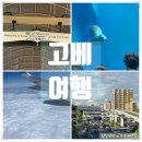 스마텐 | 일본 고베 여행 1일차: 먹부림 (타코야키 / 로바타 토 오뎅 코로나기라이 산노미야)
