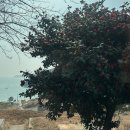 쌍근어촌체험휴양마을 이미지