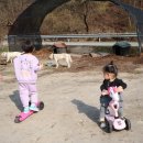 해늘농원 네이버블로그