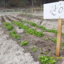 회동농장 이미지