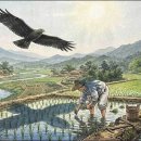 (얼레빗 제5258호) 오늘은 소서, 남 위한 솔개그늘 되어보자 이미지