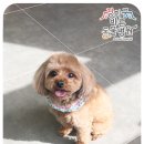 경희궁바른동물병원 이미지