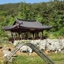 합천토종흙돼지 이미지