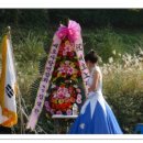 양재천 수변무대1 이미지