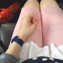 5월 감꽃 10월 홍시 이미지