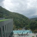 포레스트리솜 이미지