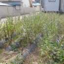 열방농장 이미지