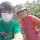 강산해 농장 이미지