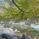 설악산파크식당 이미지