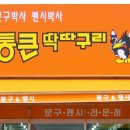 통큰딱따구리 이미지
