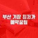 하운드기장일광 이미지