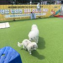 뚝섬한강공원-56 이미지