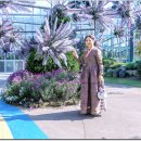 윤슬 님, 함평국화축제 2 이미지