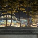 유정수산 | 가락시장 방어회 대게 가격 시세 장성수산ㅣ식당가 유정씨푸드 다녀온 후기ㅣ겨울 해산물 가락 수산시장