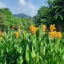 불광유치원 이미지