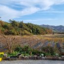 낭띠전원카페 이미지