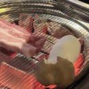 식껍종로