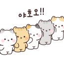 우림시장식자재마트 이미지