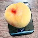 홍이네농장 | 2023년 8월 4주차 복숭아 결산 2/2 : 바우농원 단금도, 귀래작목반 단호장골드 + 번외 홍이네 켈시 자두