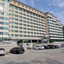 약천사우나 | 망치라는 생선을 아시나요? / 강릉 금진항 항구횟집