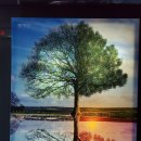 흥해읍사무소 이미지