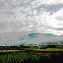 샹그릴라 이미지