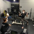 매일헬스트레이닝 이미지