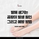 레푸스진주대안점