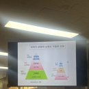 리피스평화교육연구소