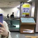 알고신 이미지