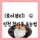 로아뷰티 - 서구 | [공지] [속눈썹][인천 서구 청라동] 뺘쨕 올려주는 속눈썹펌 맛집 청라 "로아뷰티" 방문 후기