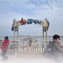 회뜨는수산 | 서산 삼길포항 수산시장 회뜨는 선상 광어회 포장 후기